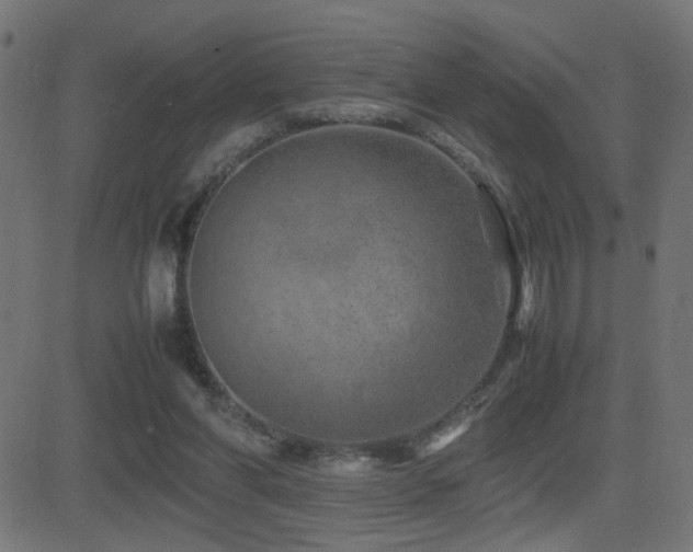 X0000081450206200701121240