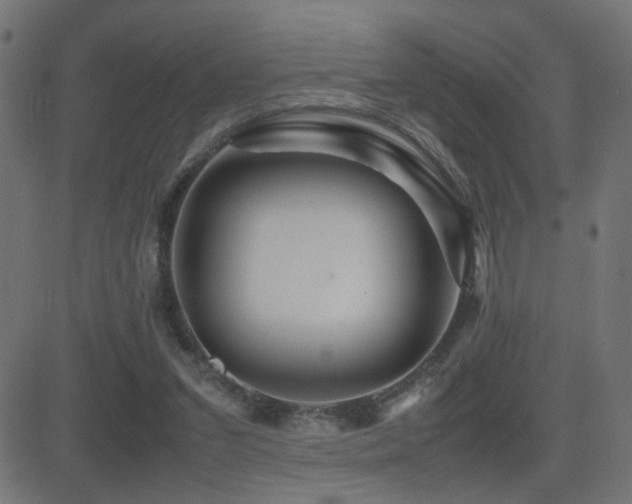 X0000081450207200701121240