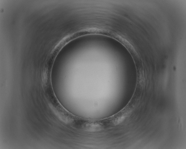 X0000081450208200701121240