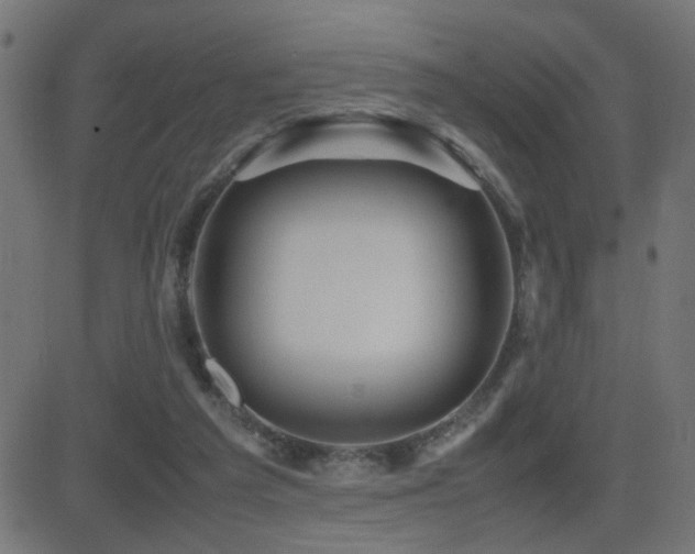 X0000081450209200701121240