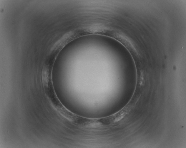 X0000081450210200701121240