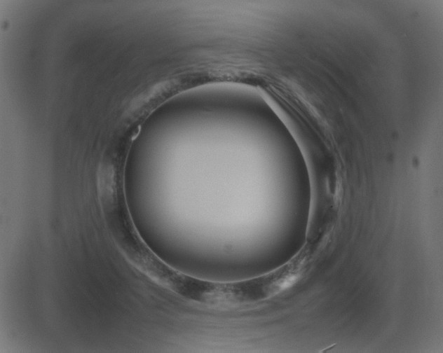 X0000081450211200701121240