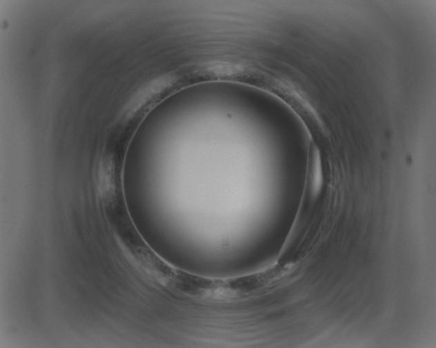 X0000081450212200701121240