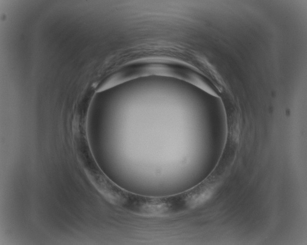 X0000081450213200701121240