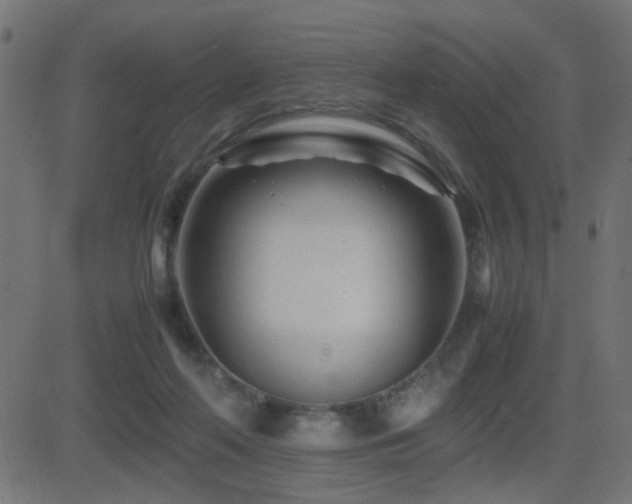 X0000081450214200701121240