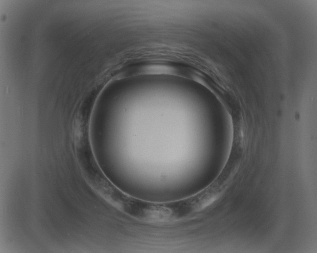 X0000081450215200701121240