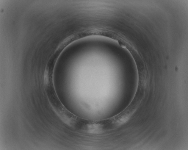 X0000081450216200701121240