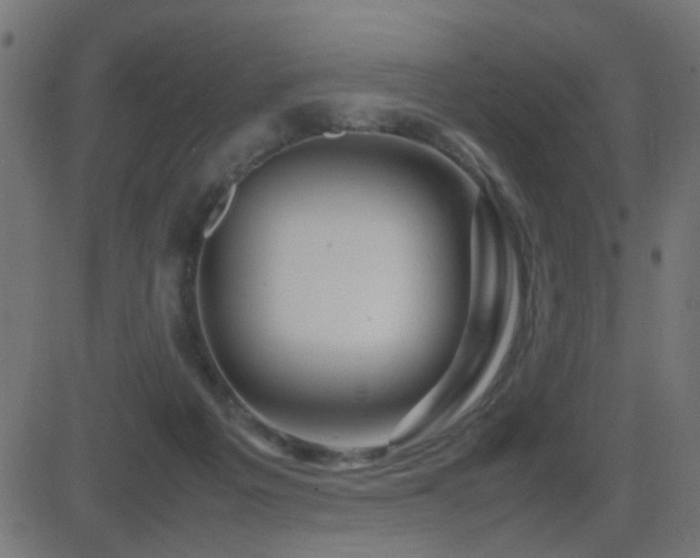 X0000081450217200701121240