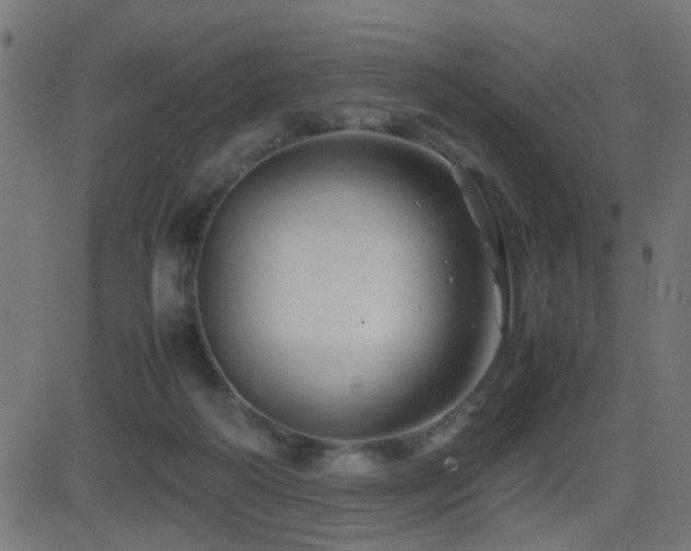 X0000081450218200701121240