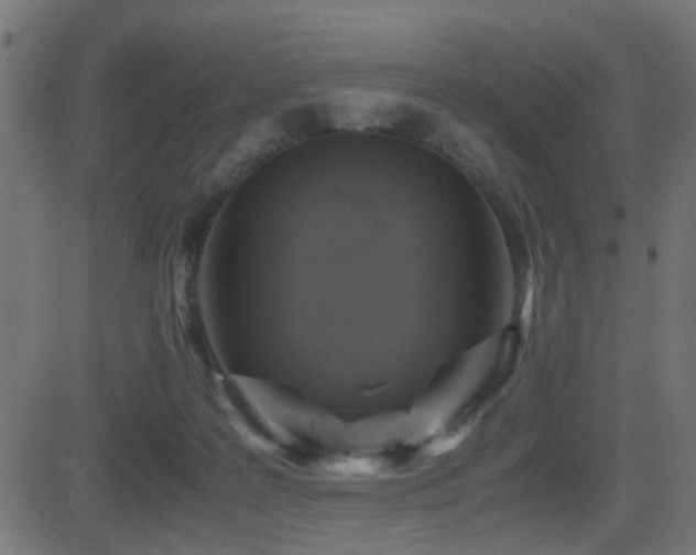 X0000081450219200701121240