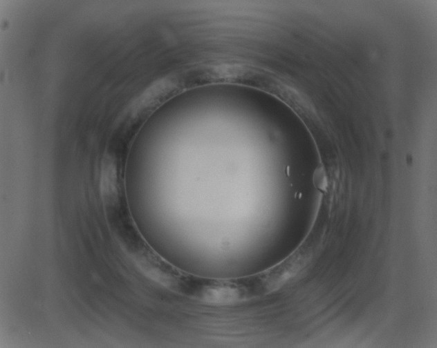 X0000081450220200701121240