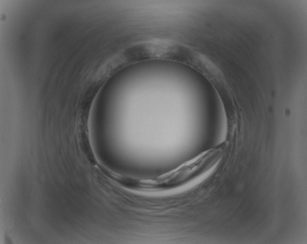 X0000081450221200701121240