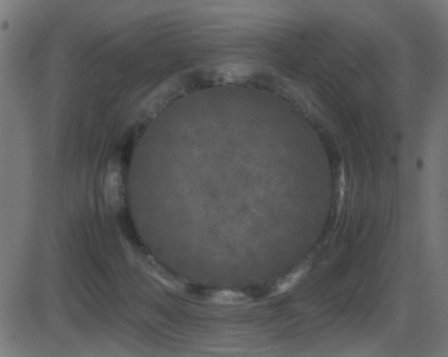 X0000081450222200701121240