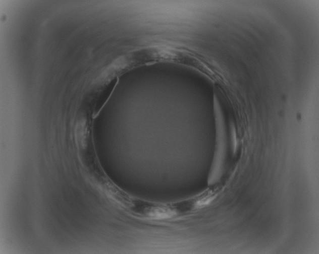 X0000081450223200701121240