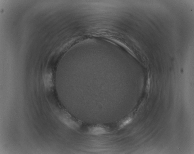 X0000081450224200701121240