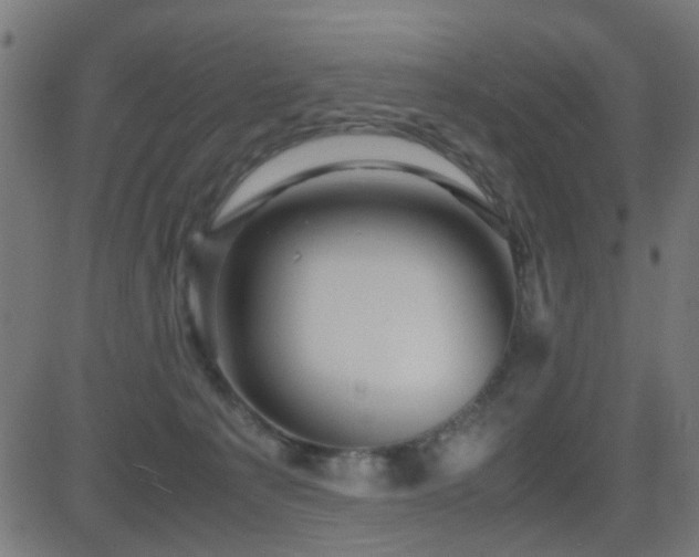 X0000081450225200701121240