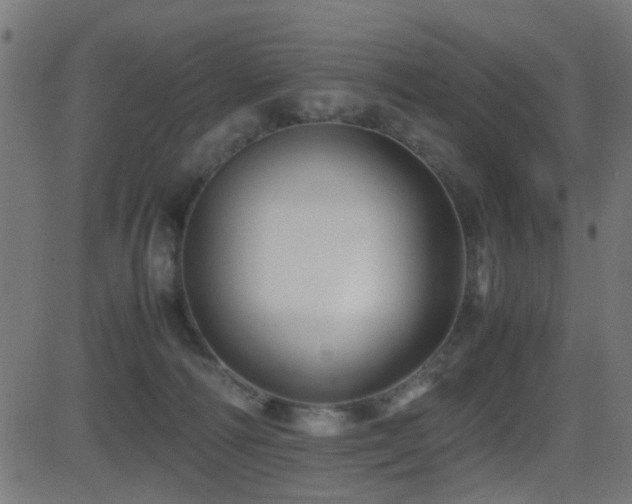 X0000081450226200701121240