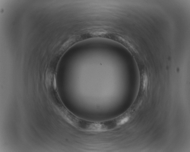 X0000081450227200701121240