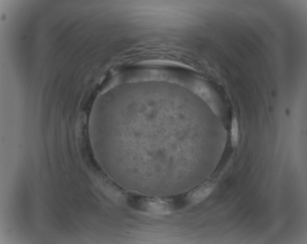 X0000081450229200701121240