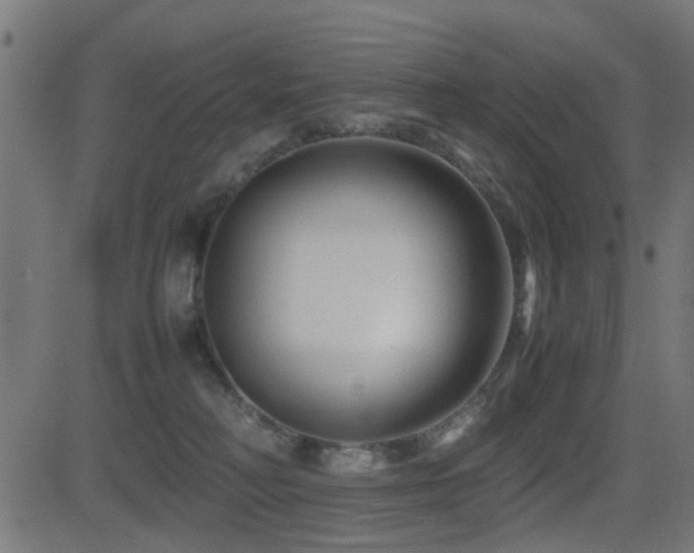 X0000081450230200701121240