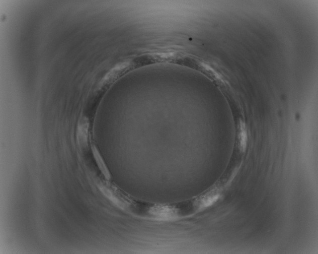 X0000081450231200701121240