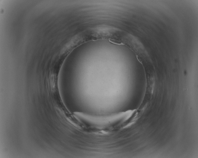 X0000081450232200701121240