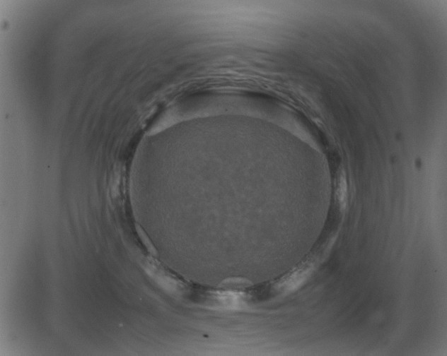 X0000081450233200701121240