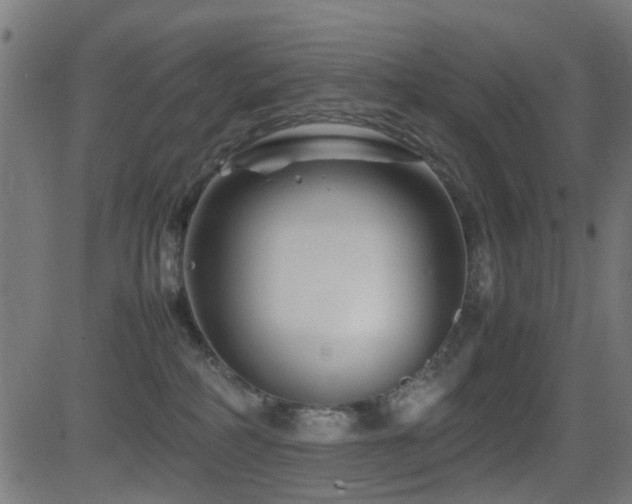 X0000081450234200701121240