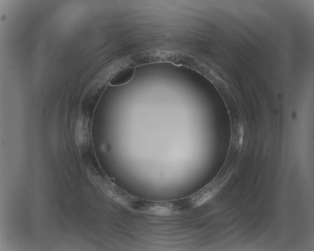 X0000081450236200701121240