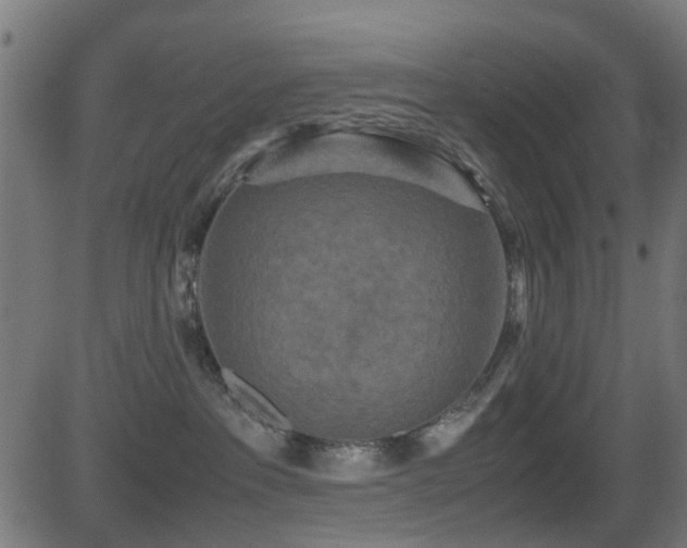 X0000081450237200701121240