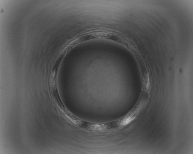 X0000081450239200701121240