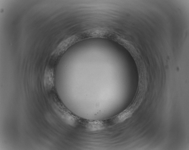 X0000081450240200701121240