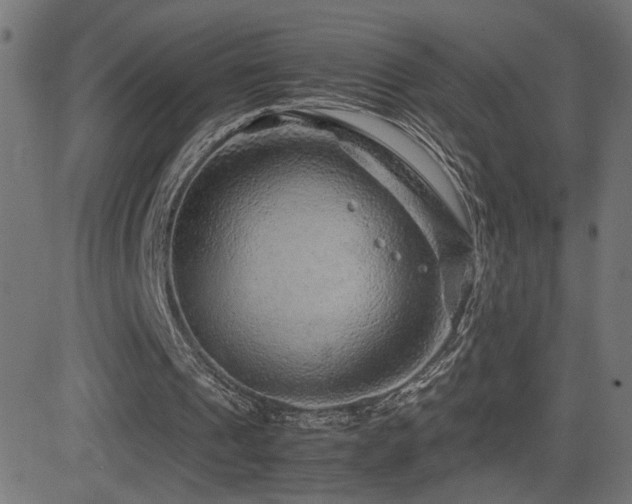 X0000081450241200701121239