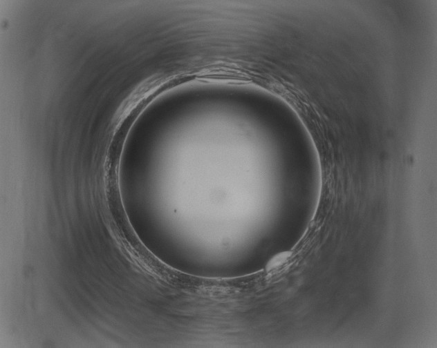 X0000081450242200701121239