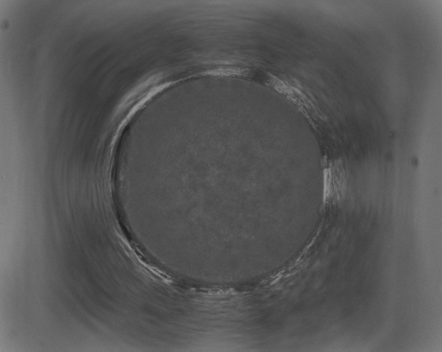 X0000081450243200701121239