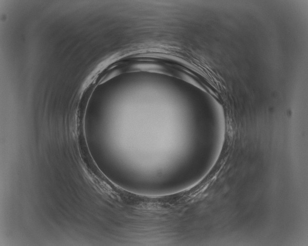 X0000081450244200701121239