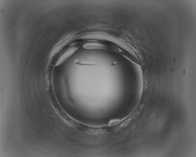 X0000081450245200701121239