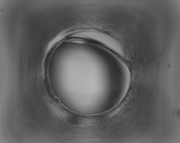 X0000081450246200701121239