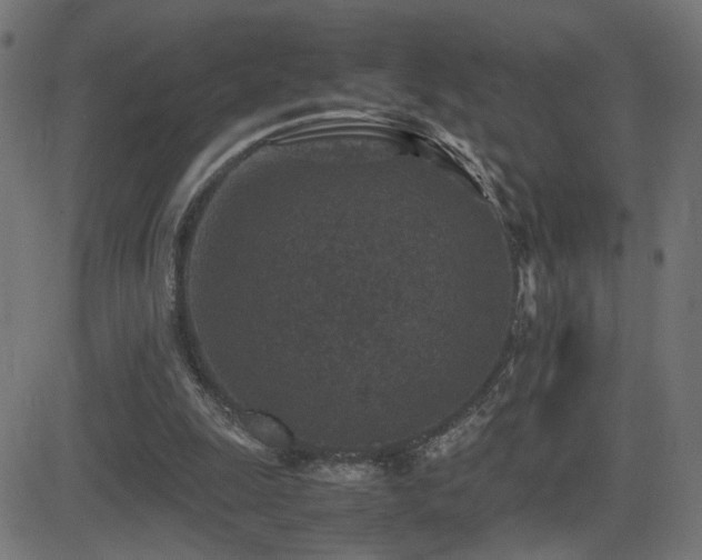 X0000081450247200701121239