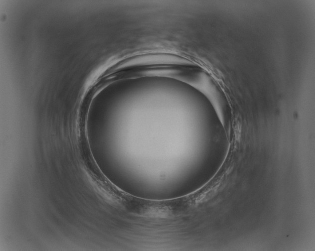 X0000081450248200701121239