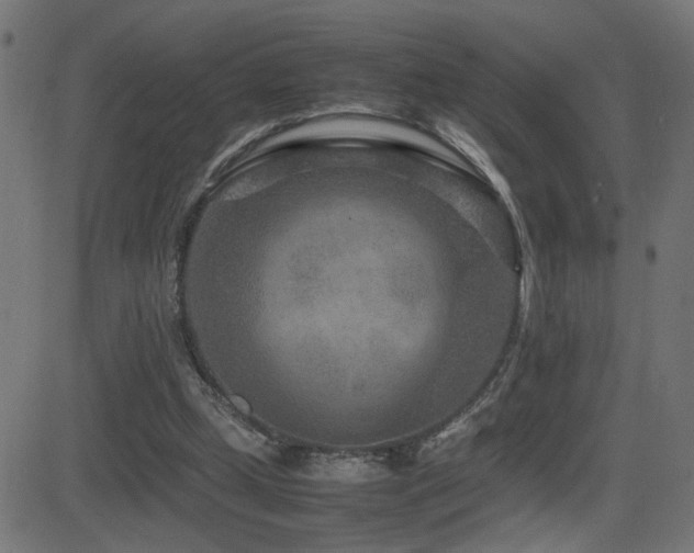 X0000081450249200701121239