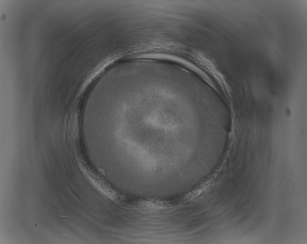 X0000081450250200701121239