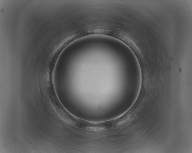 X0000081450251200701121239