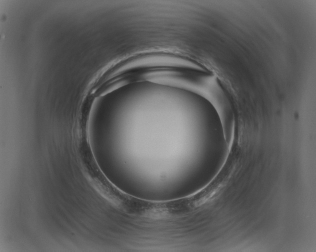 X0000081450252200701121239