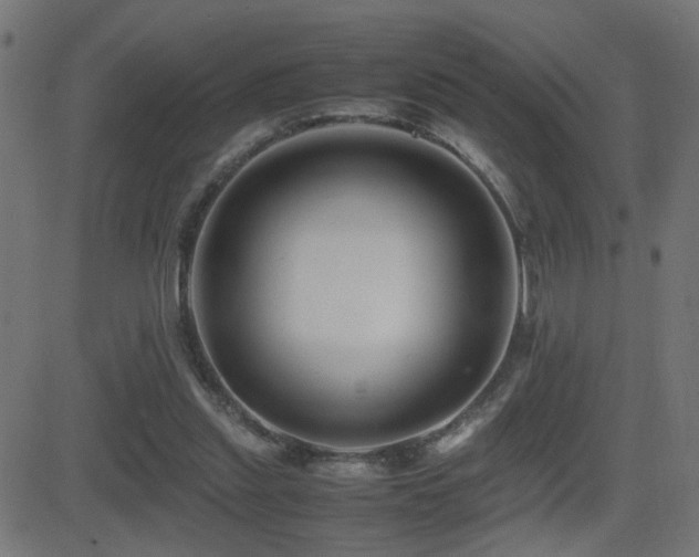 X0000081450253200701121239