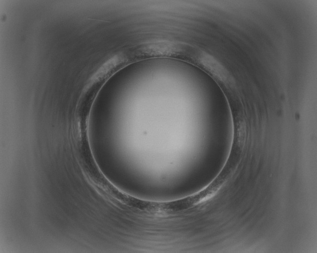 X0000081450254200701121239