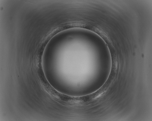 X0000081450255200701121239