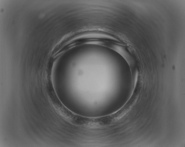 X0000081450256200701121239