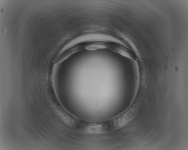 X0000081450257200701121239