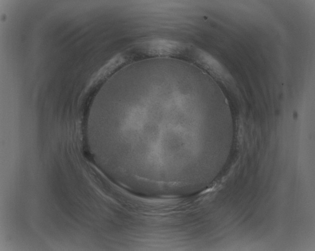 X0000081450258200701121239